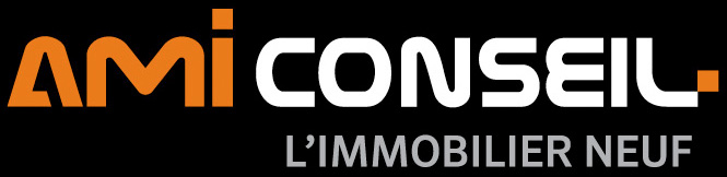 logo ami conseil